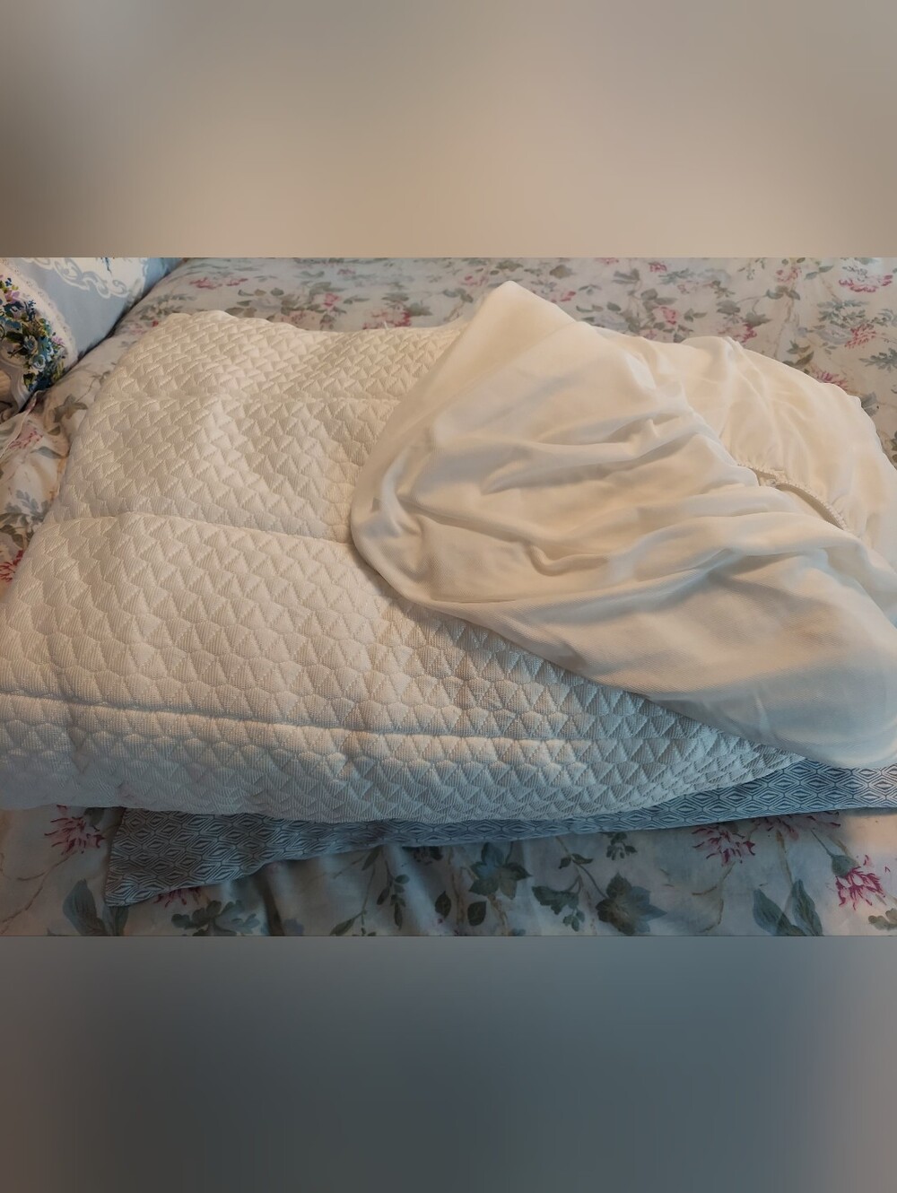 Brookstone Mattress Cover & Protector With Ultra Soft Tencel Top